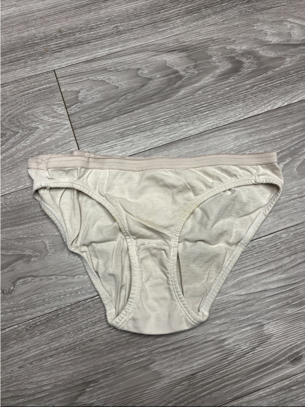 Hanes Women's Bikini Briefs in White